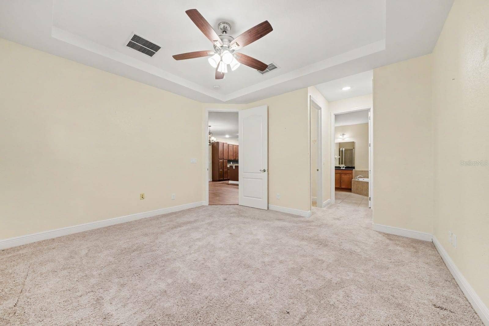 Master Bedroom with Multiple Closets and Tray Ceiling