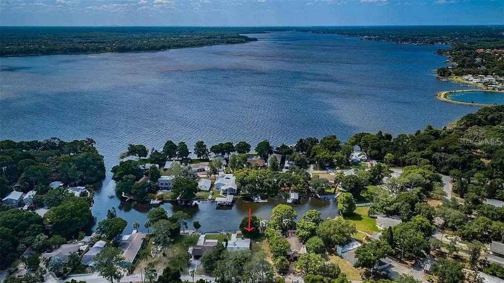 Aerial of neighborhood & Lake Tarpon