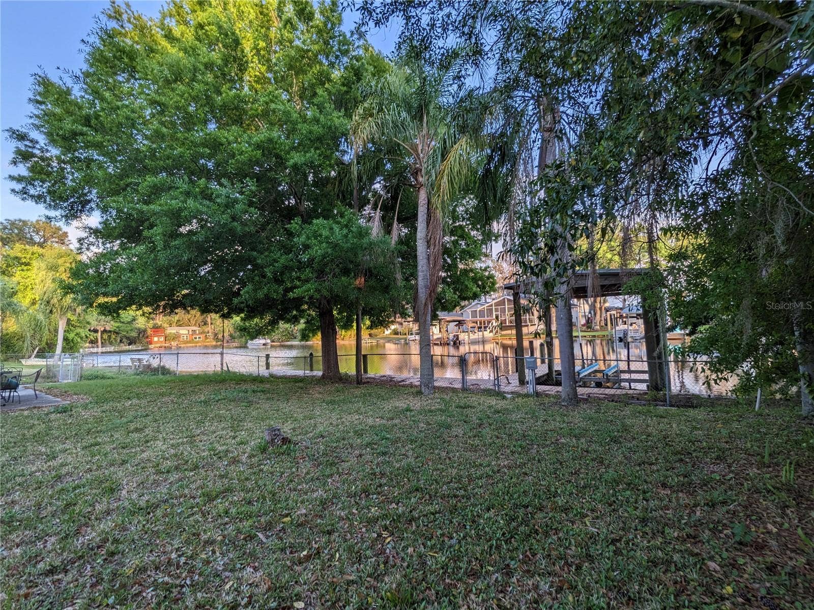 Back yard