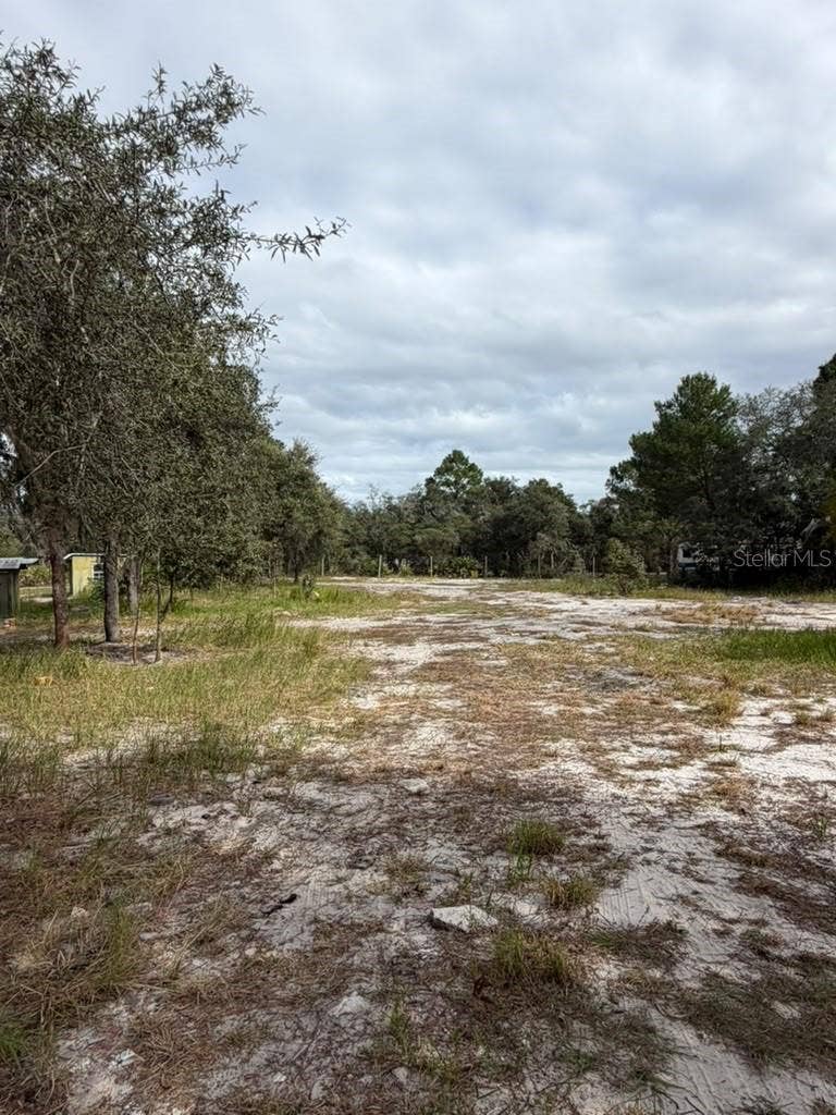 8801 DEER RUN DRIVE, Lake Wales, FL 33898 8801 DEER RUN DRIVE, Lake Wales, FL 33898