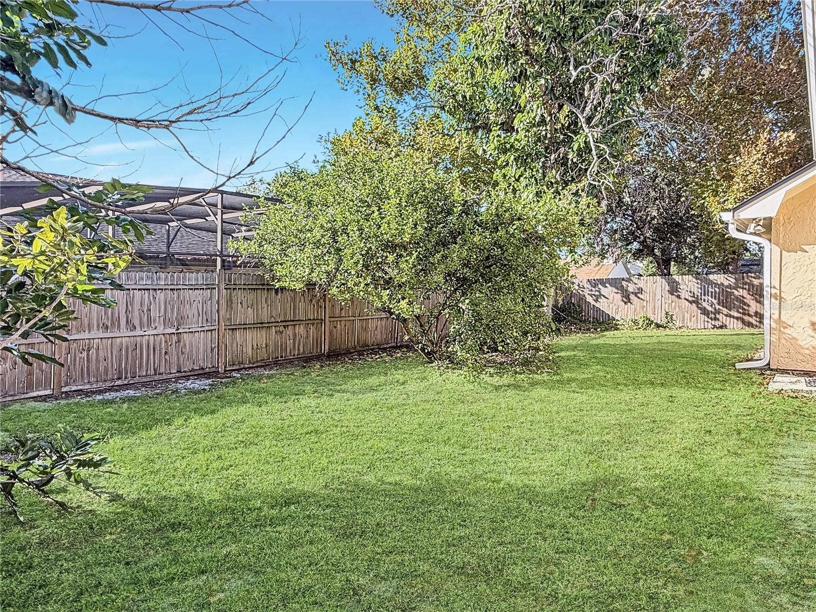 1009 CORKWOOD DRIVE, Oviedo, FL 32765 Backyard