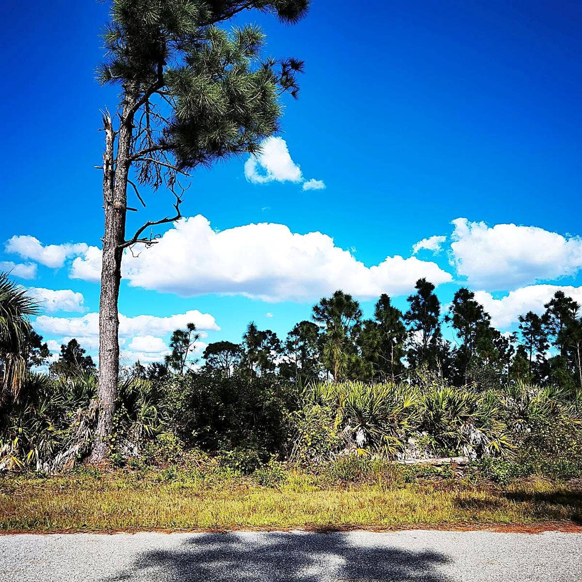 12140 KARNEY AVENUE, Port Charlotte, FL 33981