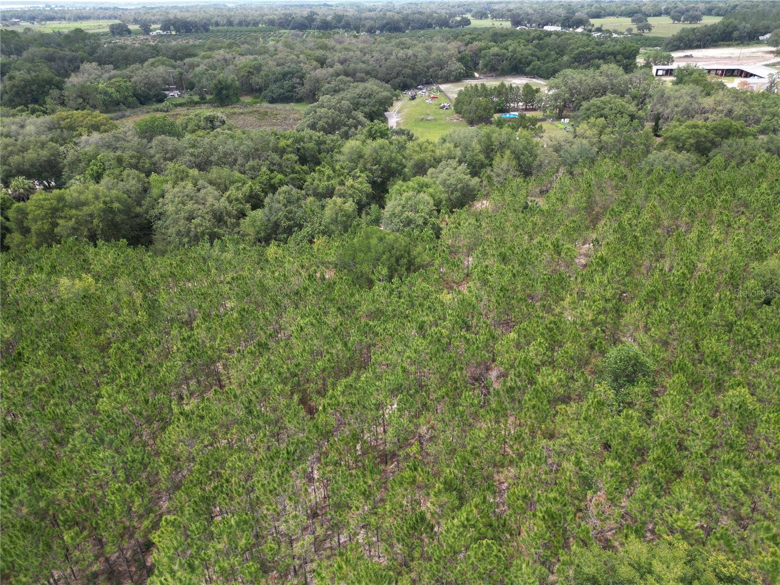 9300 E TREASURE ISLAND AVENUE, Leesburg, FL 34788 An aerial photo of the site showing the current tree density.