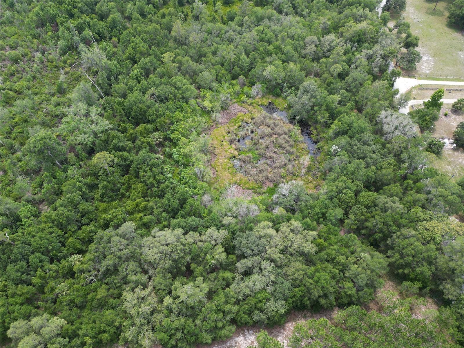 9300 E TREASURE ISLAND AVENUE, Leesburg, FL 34788 An aerial photo of the site showing part of the wetlands.