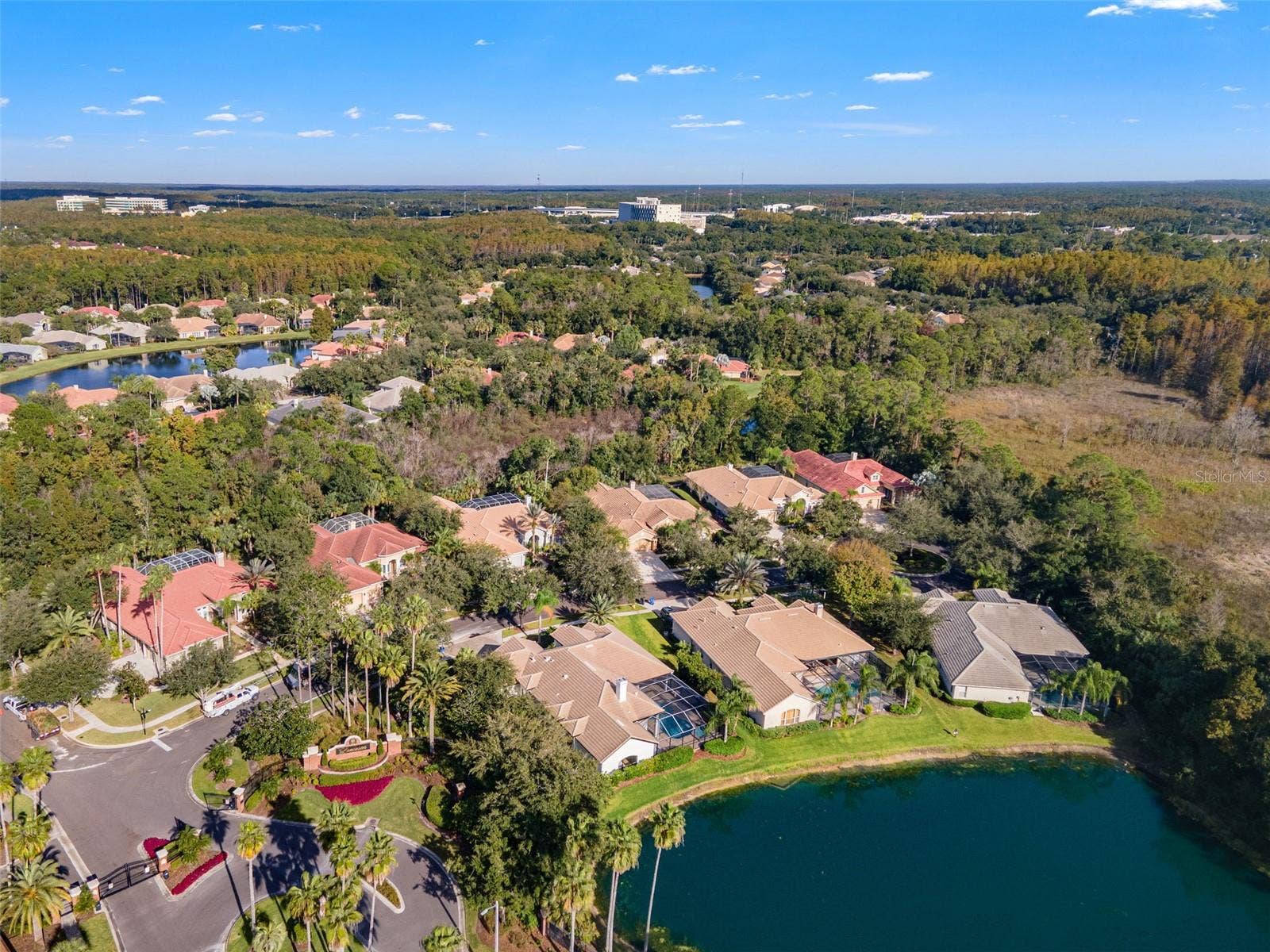 17206 TALENCE COURT, Tampa, FL 33647 Aerial view