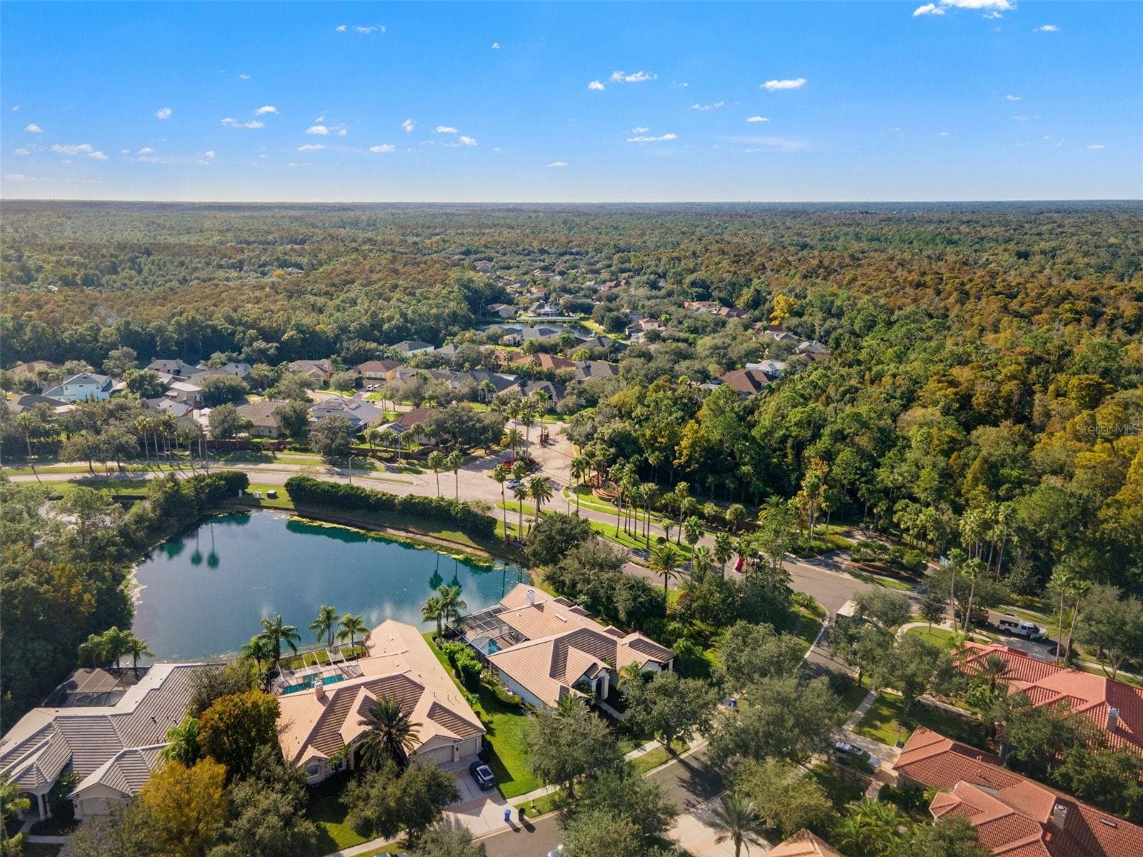 17206 TALENCE COURT, Tampa, FL 33647 Aerial view