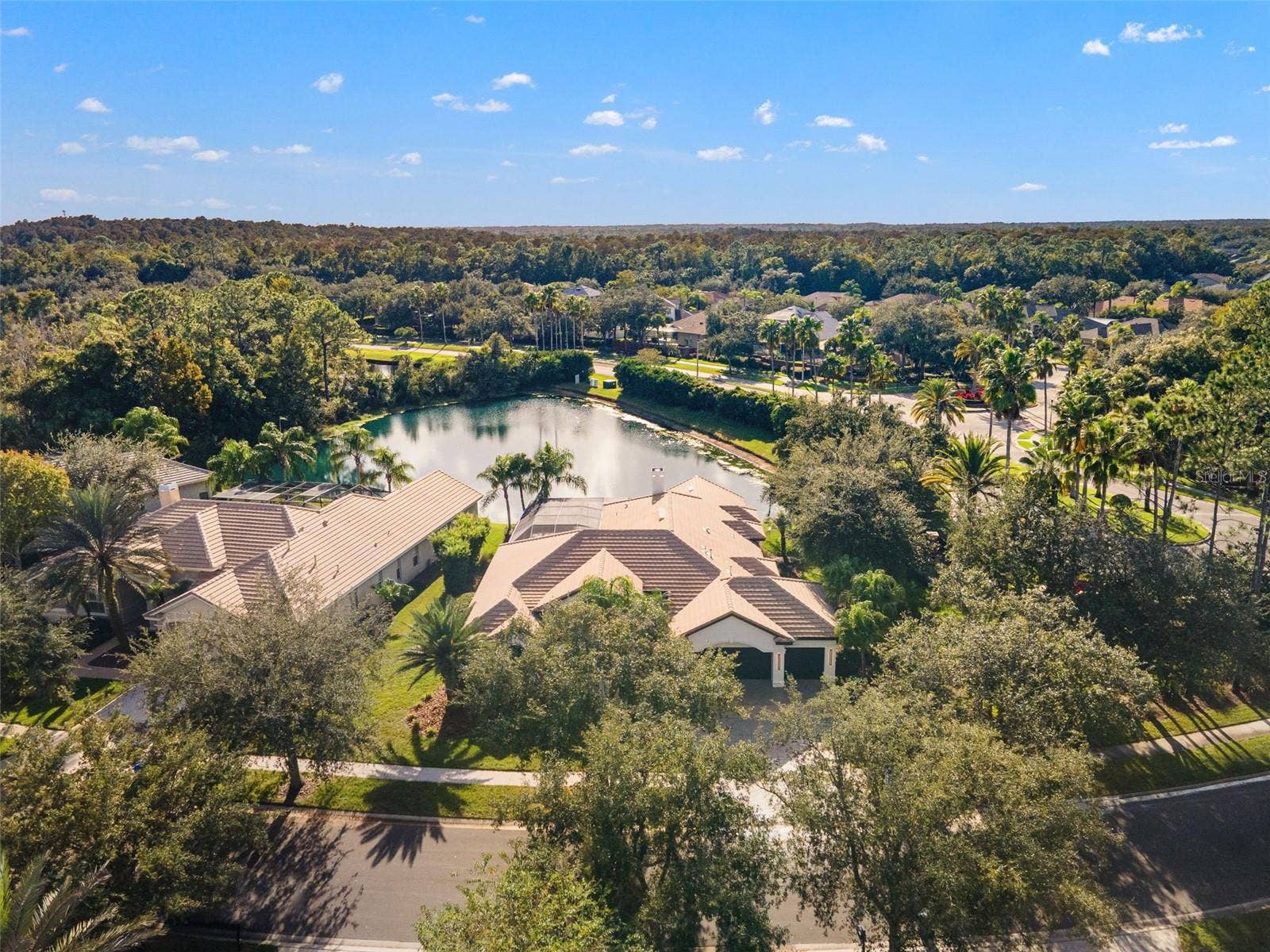 17206 TALENCE COURT, Tampa, FL 33647 Aerial view