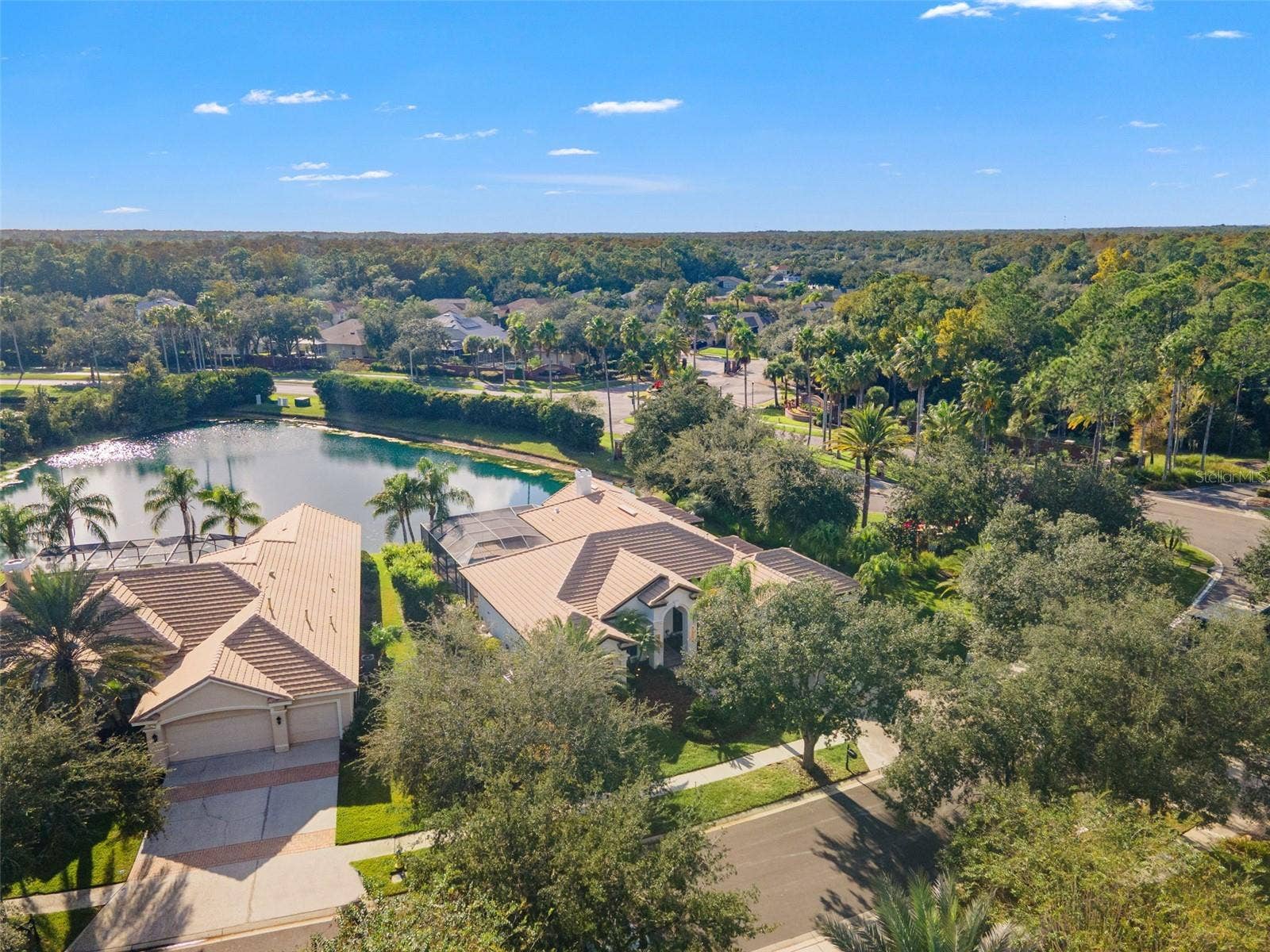 17206 TALENCE COURT, Tampa, FL 33647 Aerial view