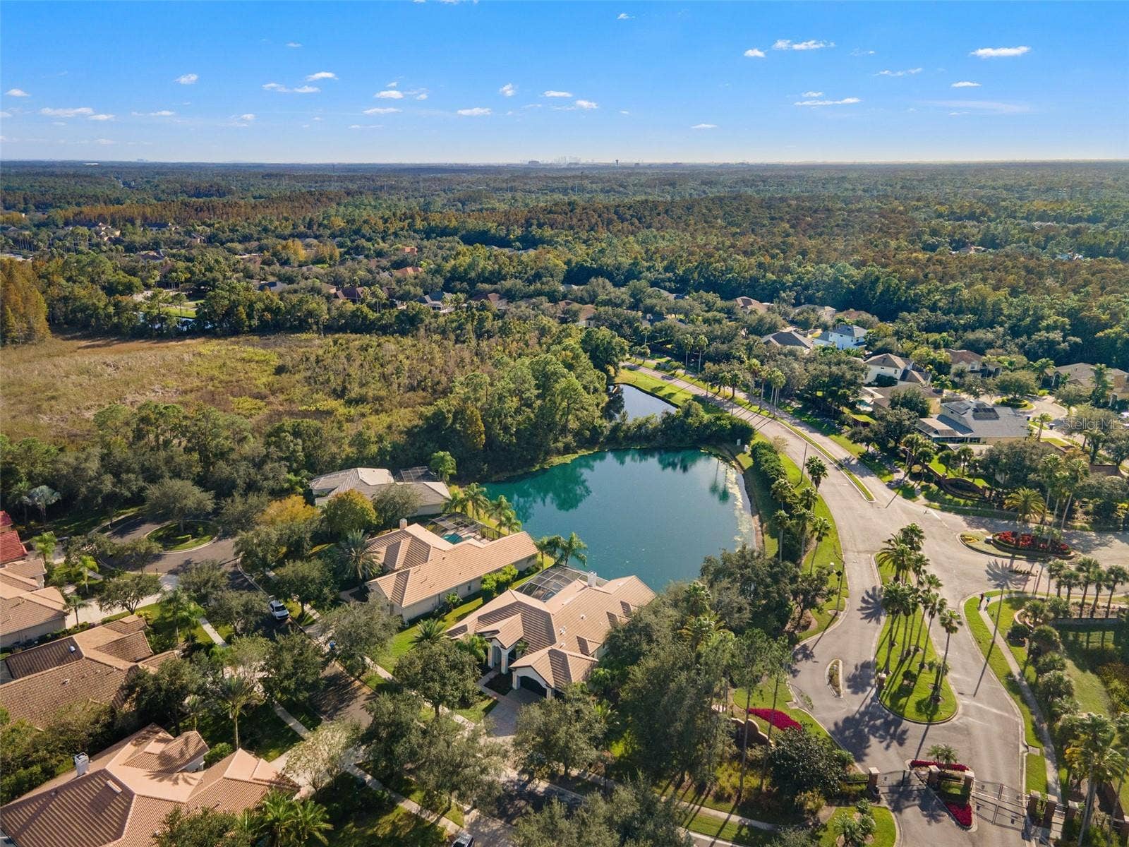 17206 TALENCE COURT, Tampa, FL 33647 Aerial view