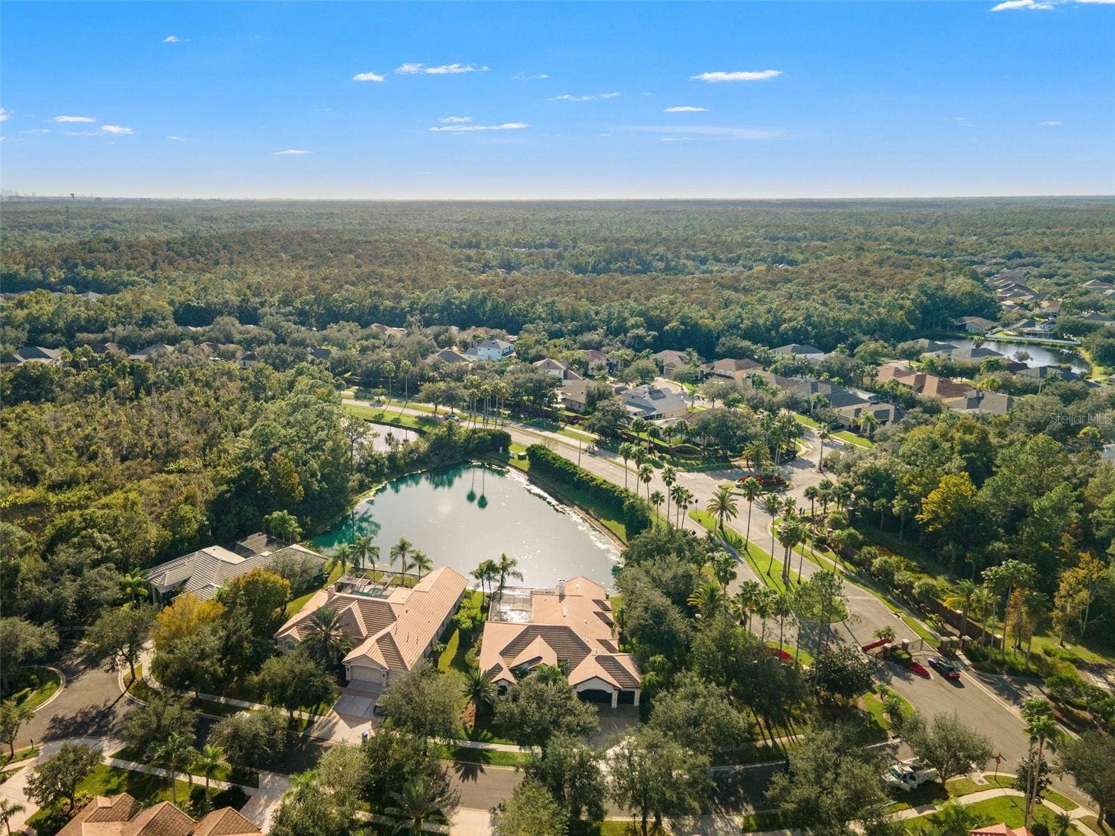 17206 TALENCE COURT, Tampa, FL 33647 Aerial view
