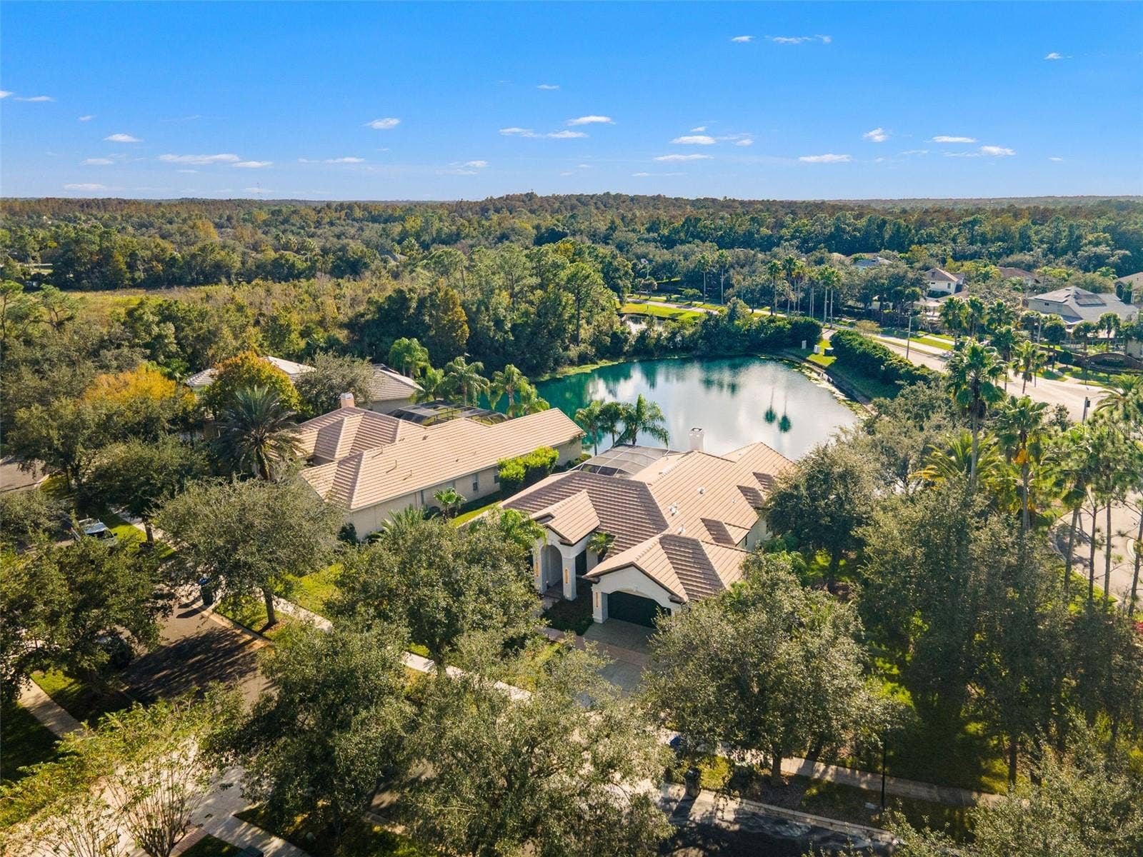17206 TALENCE COURT, Tampa, FL 33647 Aerial view