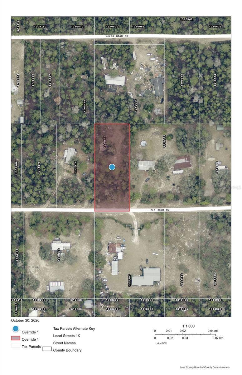 Property photo for OLD DEER ROAD, Paisley, FL