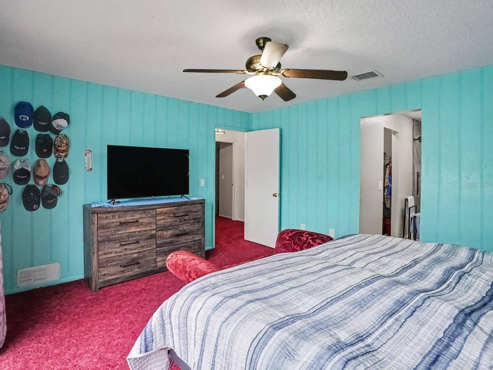 Primary Suite with Turquoise Accent Walls, TV, and Multiple Closets