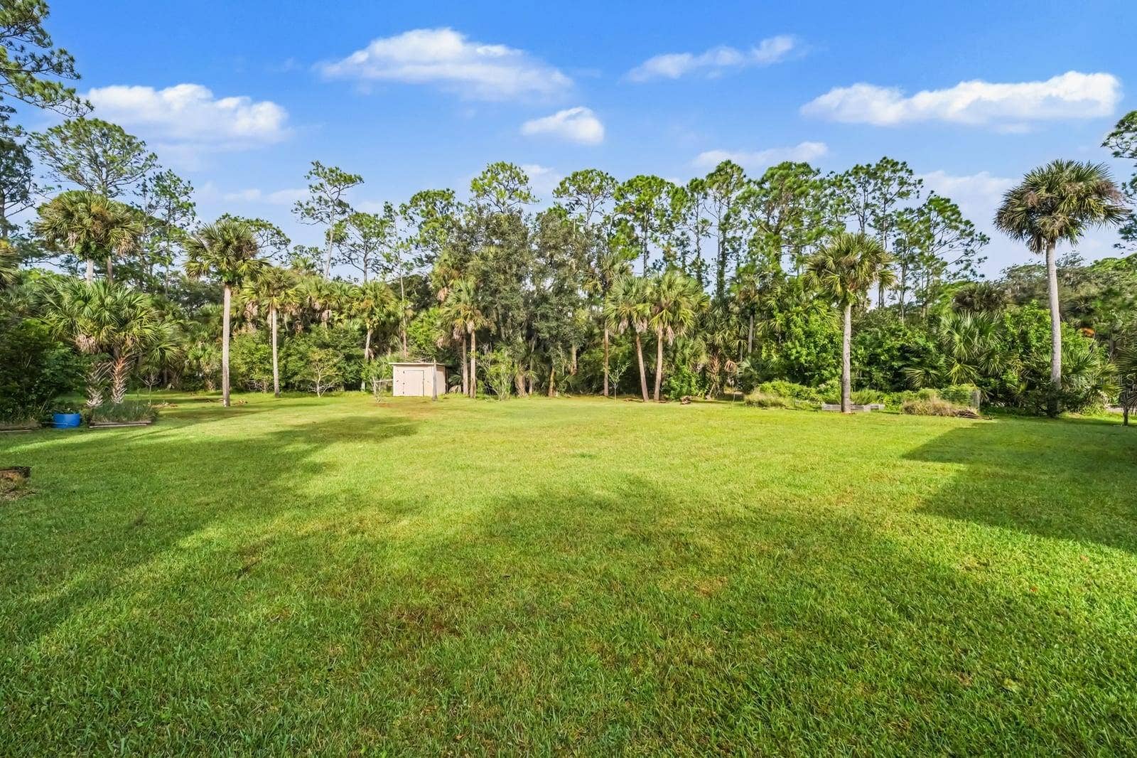 5560 BOB WHITE TRAIL, Mims, FL 32754 Expansive Landscaped Grounds With Native Trees and Storage Shed
