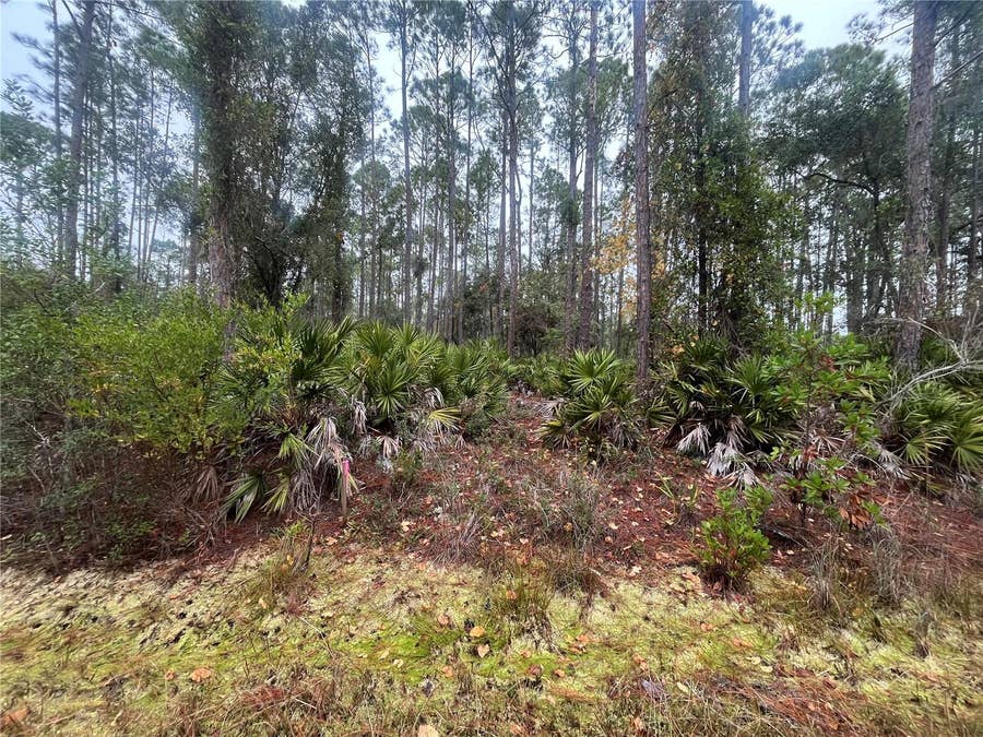 Property photo for 222 MARIE AVENUE, Georgetown, FL