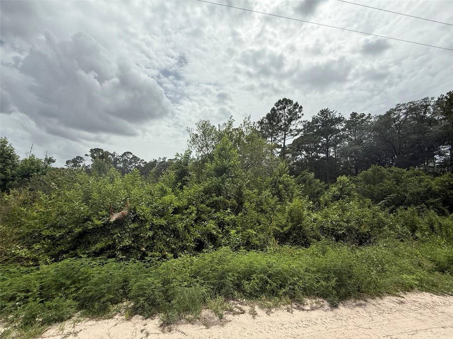 Property photo for 129 FISHERMANS DRIVE, Interlachen, FL