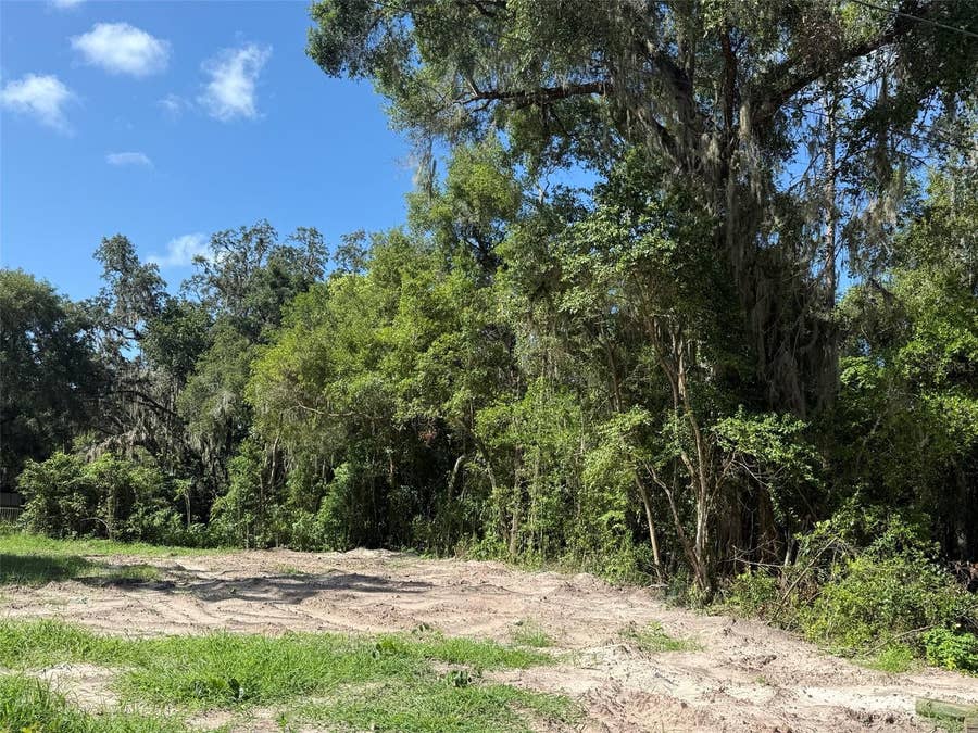 Property photo for 115 RODDY LANE, Palatka, FL