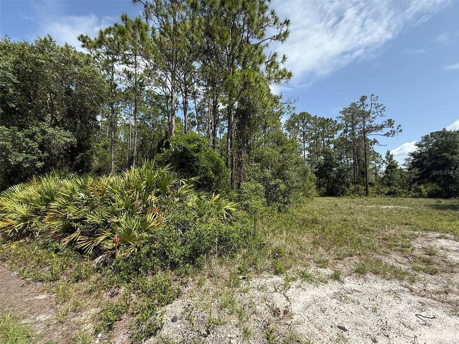 Property photo for 174 MILLICAN ROAD, Palatka, FL