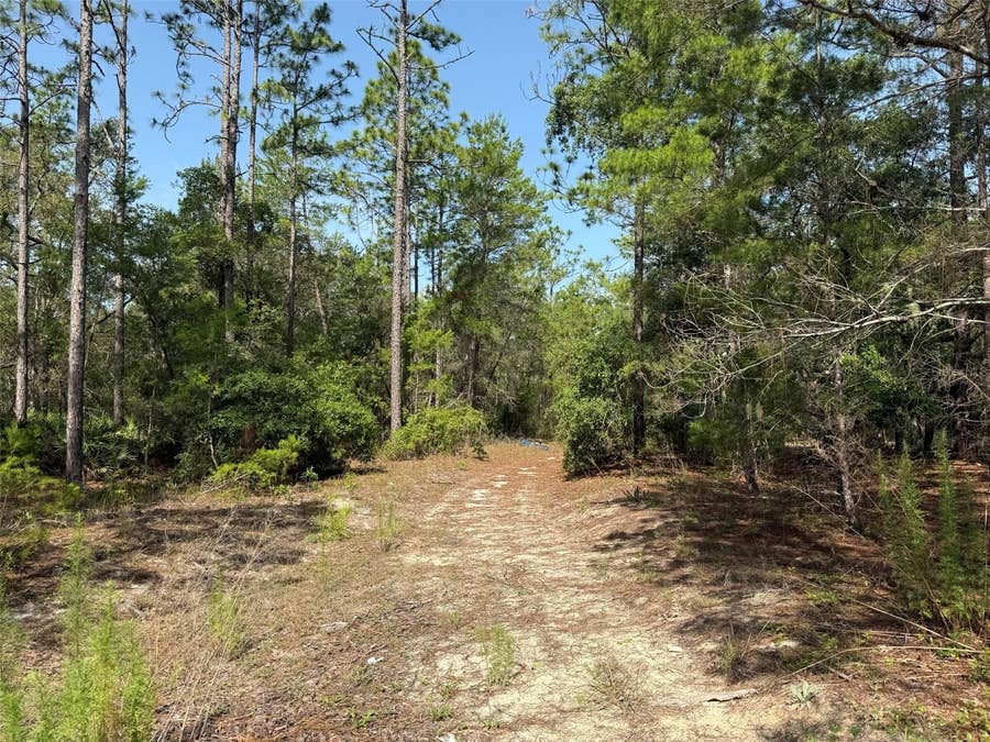 Property photo for 101 WASHINGTON AVENUE, Satsuma, FL