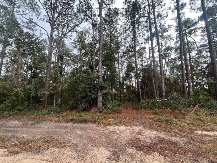 Property photo for SUSAN STREET, Interlachen, FL