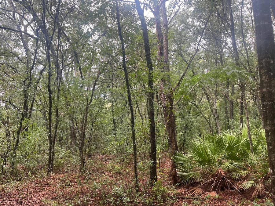 Property photo for TBD DELAWARE AVENUE, Interlachen, FL