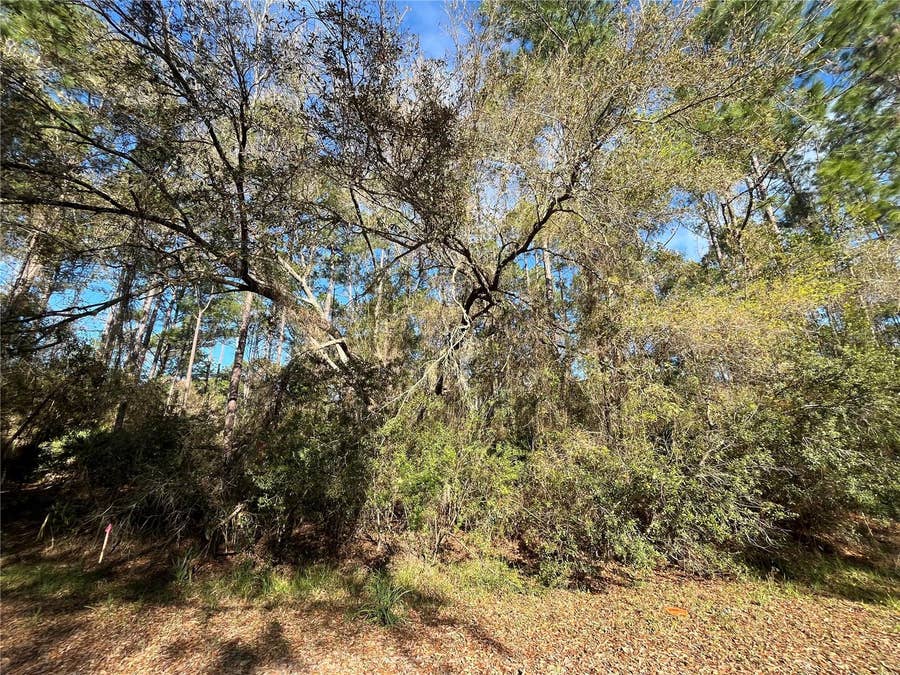 Property photo for 104 SE 5TH STREET, Georgetown, FL