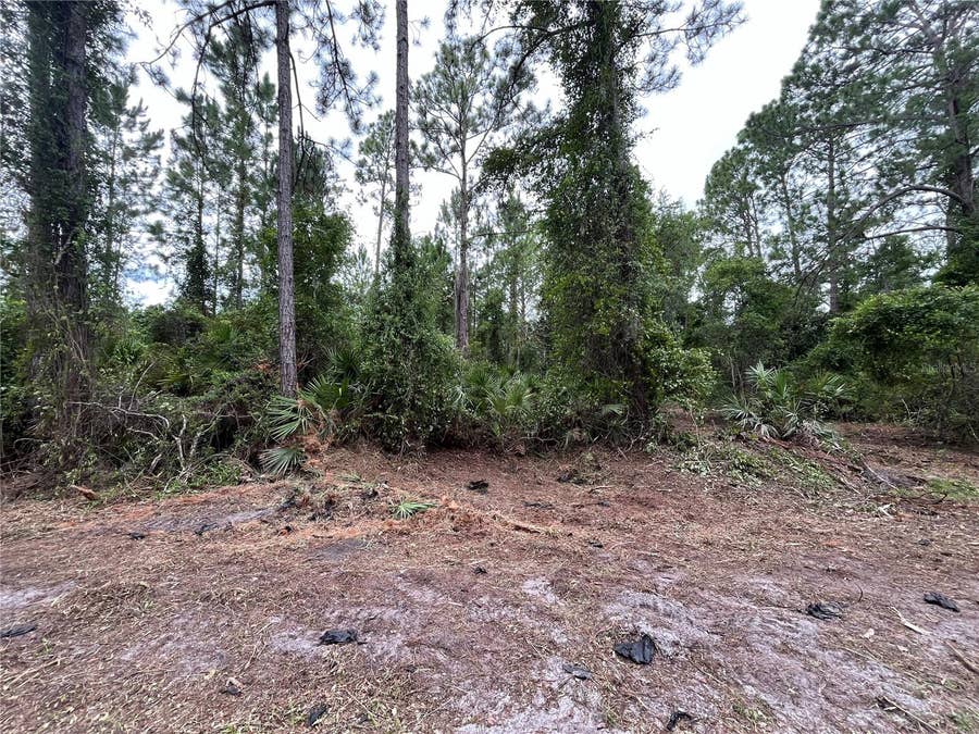 Property photo for 147 ROEBUCK STREET, Georgetown, FL