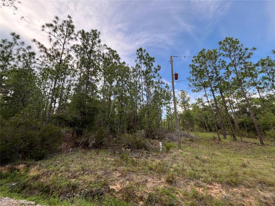 Property photo for 124 NEW YORK AVENUE, Interlachen, FL
