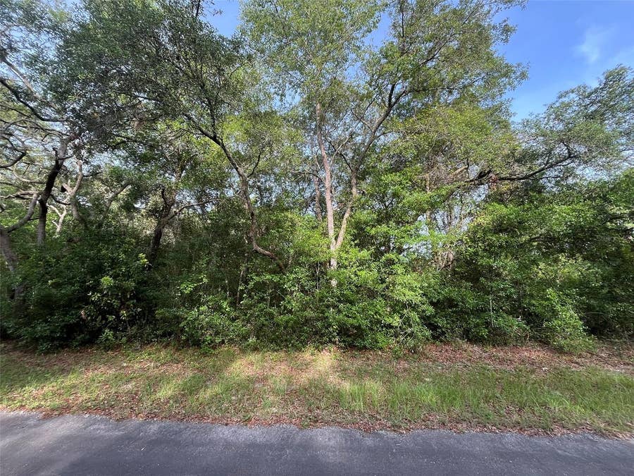 Property photo for 6634 N PAGODA TREE TERRACE, Hernando, FL
