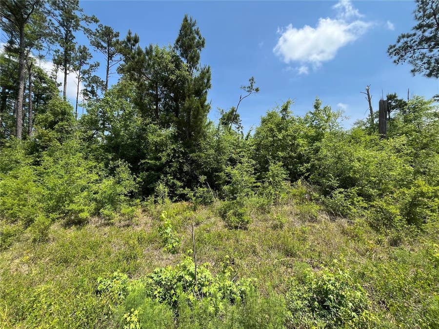 Property photo for TBD GRAND QUIVIERA CIRCLE, Alford, FL