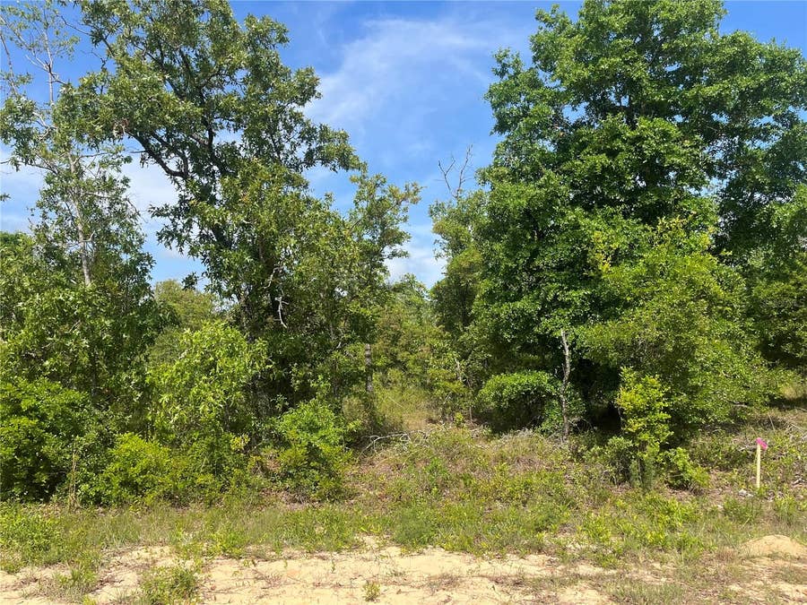 Property photo for ROME AVENUE, Alford, FL