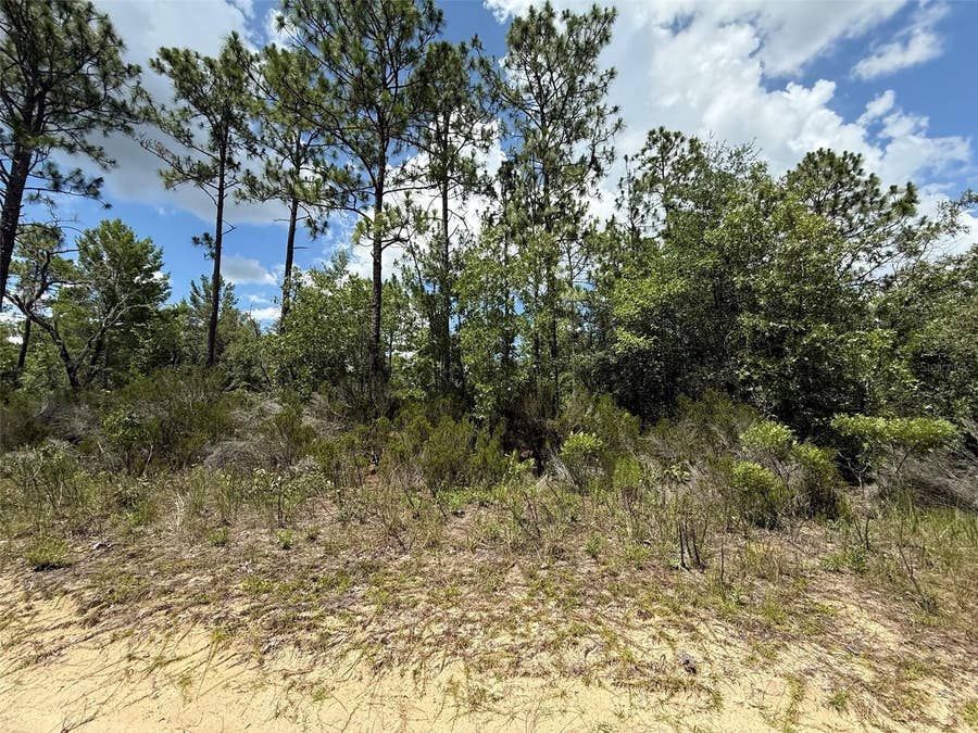 Property photo for 187 PARIS STREET, Interlachen, FL