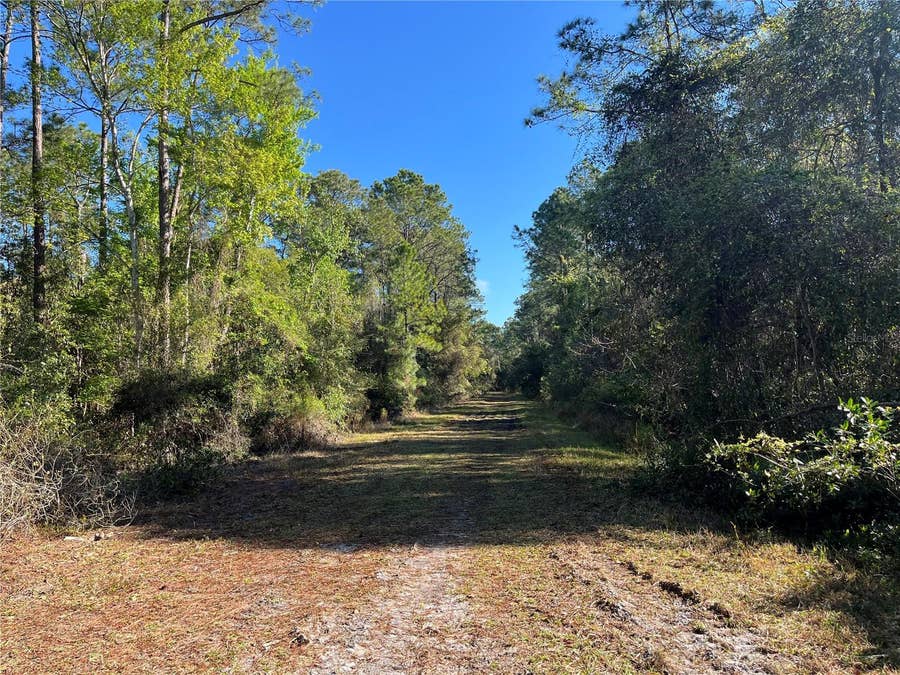 Property photo for 208 SE 3RD STREET, Georgetown, FL