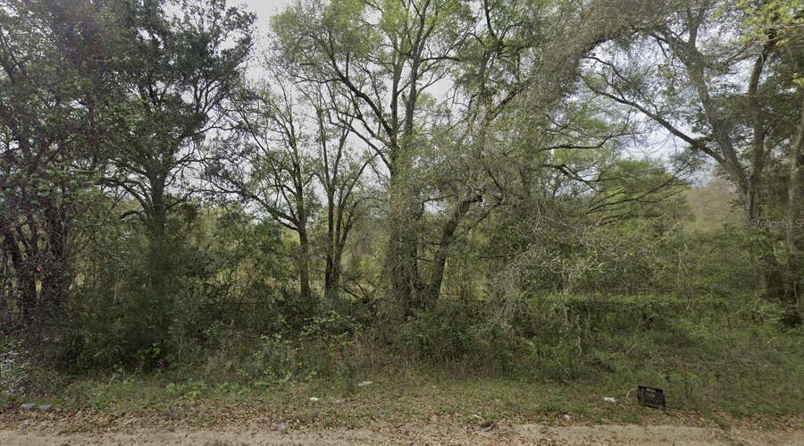 Property photo for 305 MILTON AVENUE, Interlachen, FL