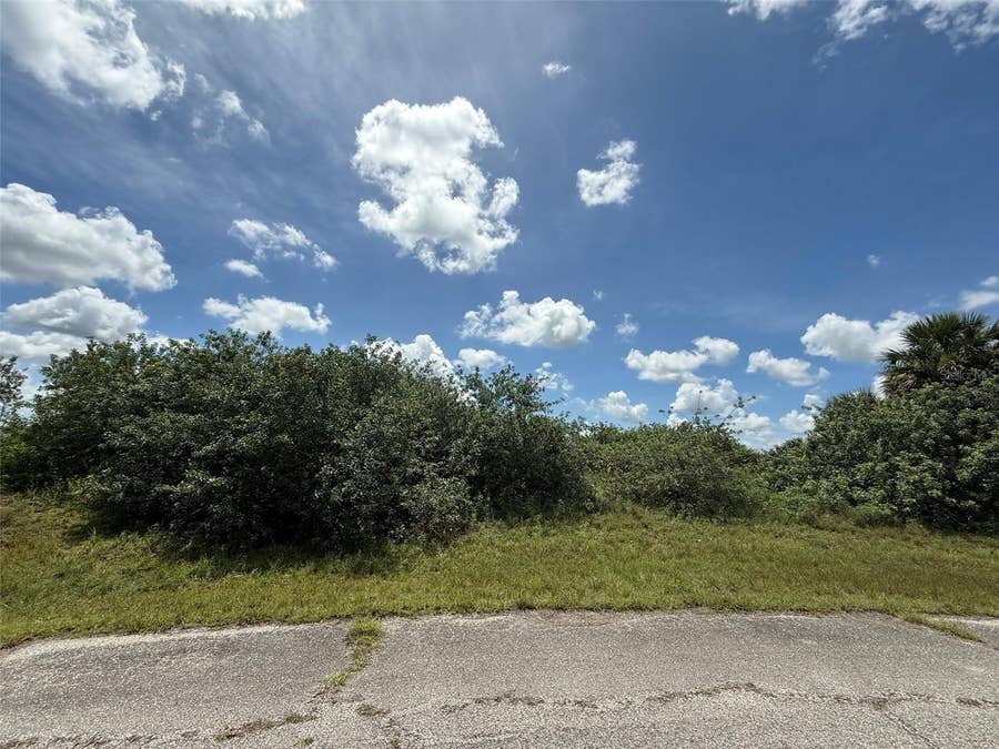 Property photo for 113 LIBERTY TERRACE, Labelle, FL