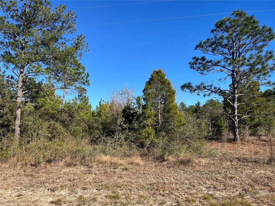 Property photo for FAIRVIEW ROAD, Marianna, FL