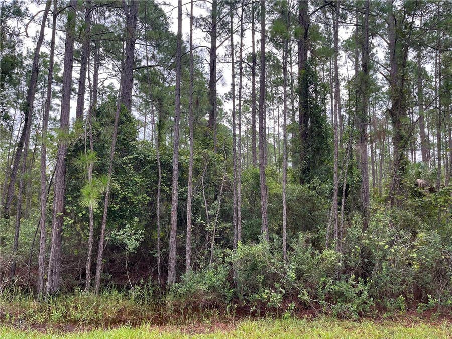 Property photo for 117 MOSSWOOD STREET, Georgetown, FL