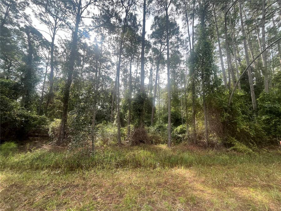 Property photo for 223 SE 2ND STREET, Georgetown, FL