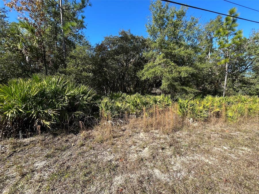 Property photo for 632 N DUNKENFIELD AVENUE, Crystal River, FL