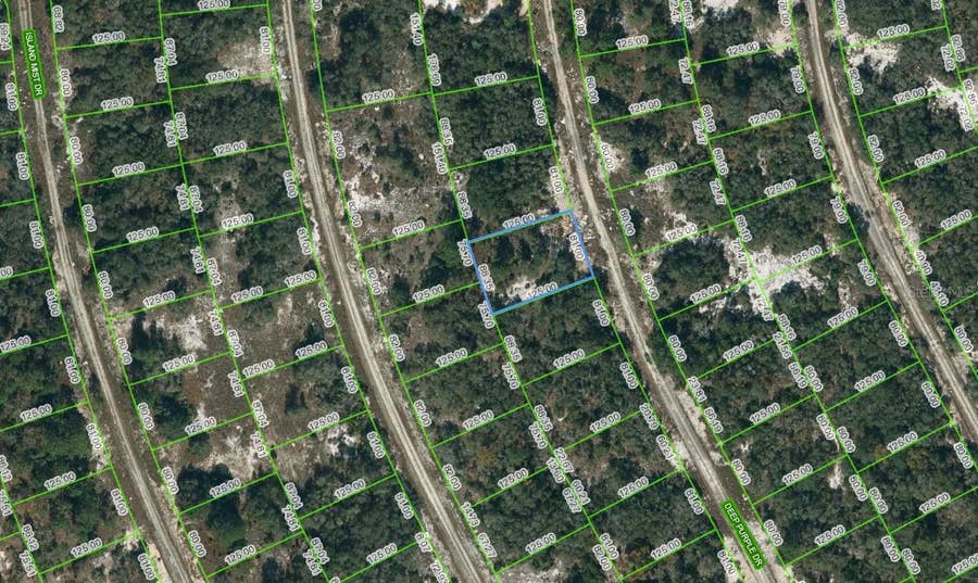 Property photo for 218 DEEP PURPLE DRIVE, Lake Placid, FL