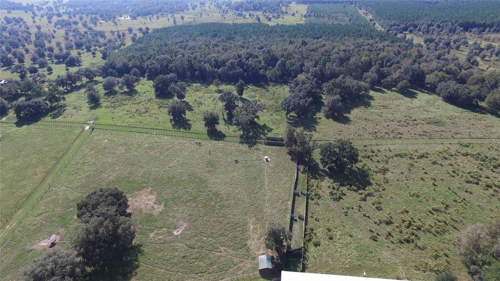 19350 NW 123RD COURT, Micanopy, FL 32667