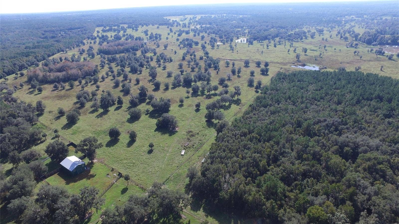 19350 NW 123RD COURT, Micanopy, FL 32667
