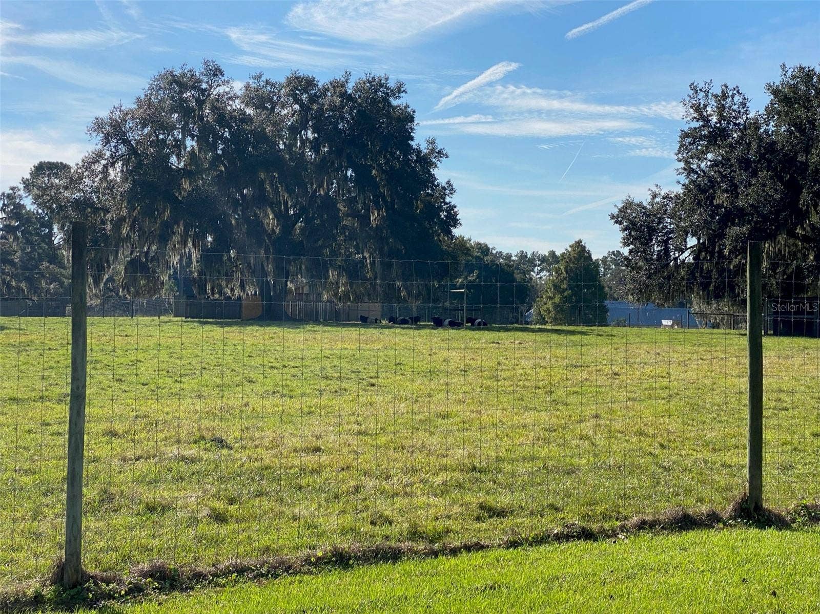 19350 NW 123RD COURT, Micanopy, FL 32667