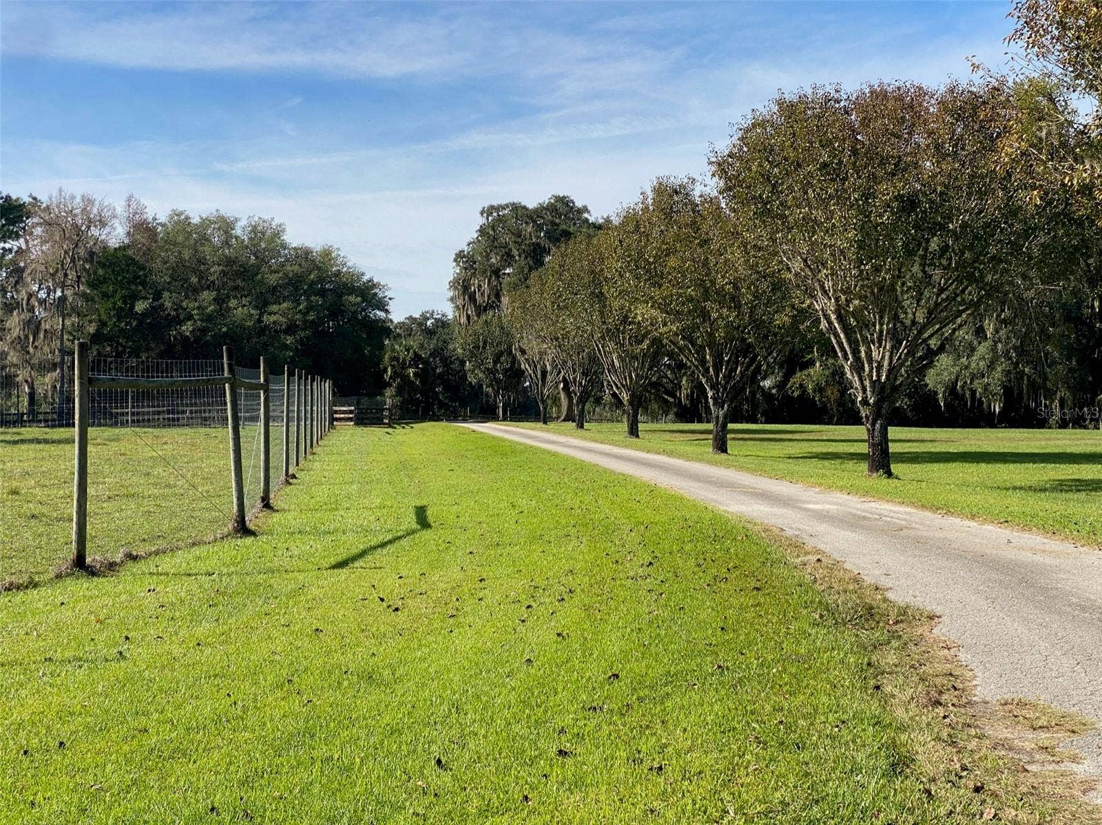 19350 NW 123RD COURT, Micanopy, FL 32667