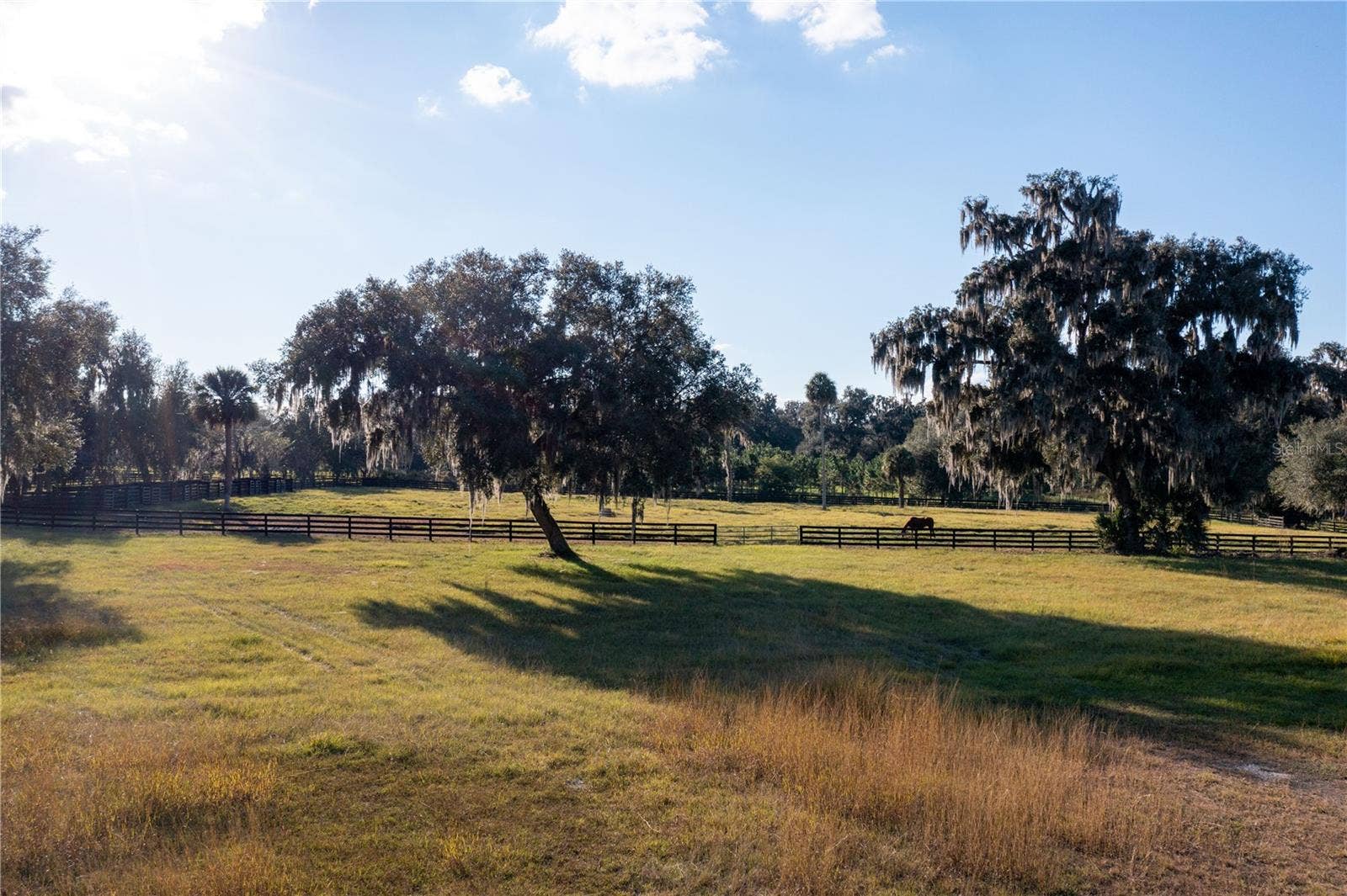 19350 NW 123RD COURT, Micanopy, FL 32667
