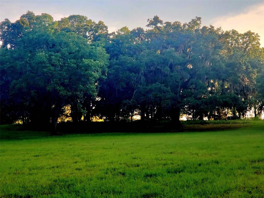 Property photo for 1077 SW 144TH COURT ROAD, Ocala, FL