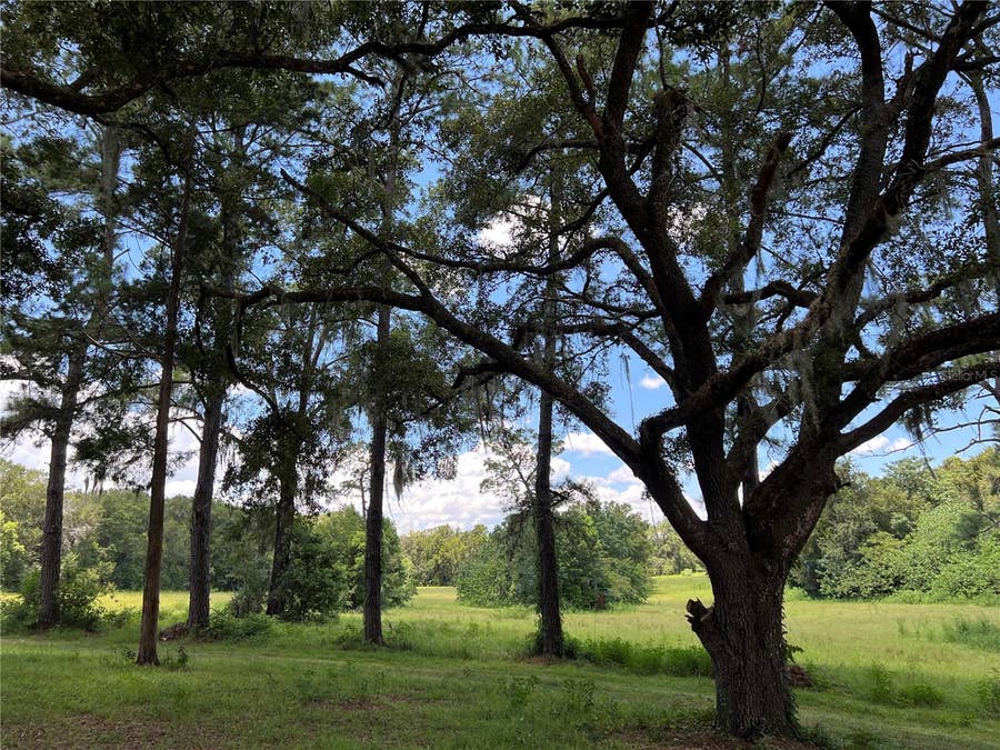 Property photo for 5500 SE 24TH STREET, Ocala, FL