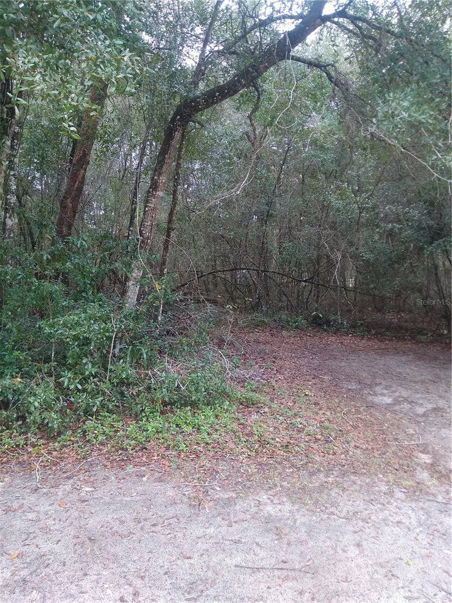 Property photo for 00 NE 147TH COURT, Silver Springs, FL
