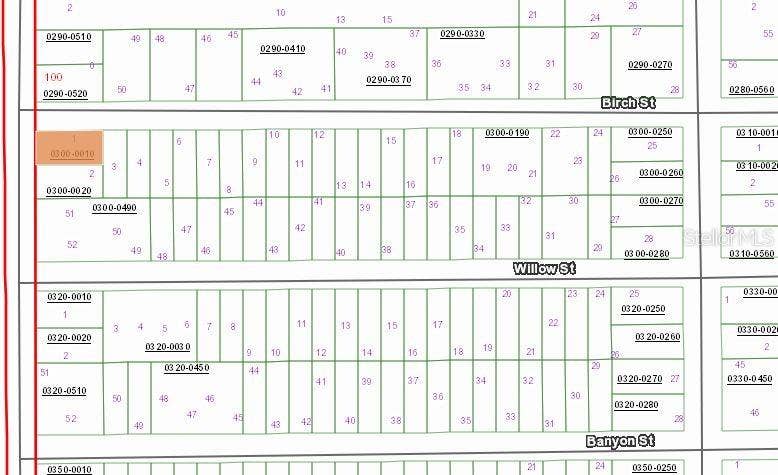 Property photo for 00 BIRCH STREET, Interlachen, FL