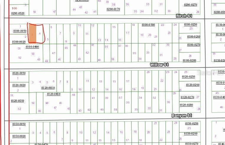 Property photo for 00 BIRCH STREET, Interlachen, FL